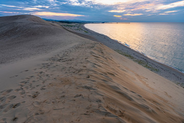 夕暮れの鳥取砂丘