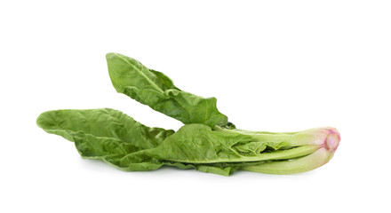 Fototapeta premium Fresh leaves of spinach isolated on white