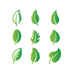 Set of Green Leaf Logo design inspiration vector icons