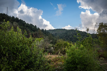 This is a capture of a landscape taken in Lebanon during spring 2019 and you can see the beautiful colors of nature