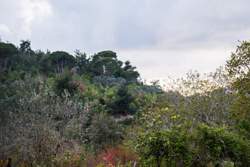 Obraz premium This is a capture of a landscape taken in Lebanon during spring 2019 and you can see the beautiful colors of nature