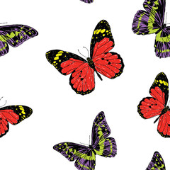 Seamless pattern of drawn butterflies