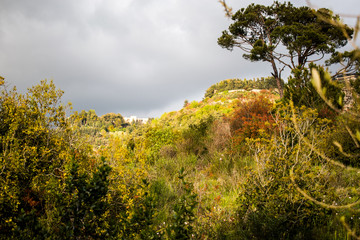 This is a capture of a landscape taken in Lebanon during spring 2019 and you can see the beautiful colors of nature