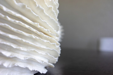 beautiful white vase on a wooden table