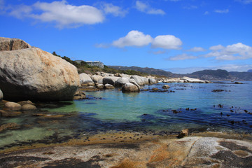 Boulders Beach en Afrique du Sud