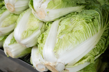 chinese cabbage at traditional marketplace