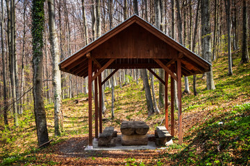 Camping place in the forest on the Goc, popular serbian mountain 