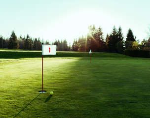A hit on the golf course is associated with precision, wealth and practice. Characteristics which...