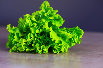 Fresh juicy lettuce on a gray kitchen tabletop closeup. The concept of healthy eating.