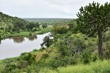 Fototapeta na wymiar Orpen Dam in Kruger national park,South Africa