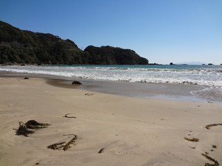 伊豆下田の海水浴場