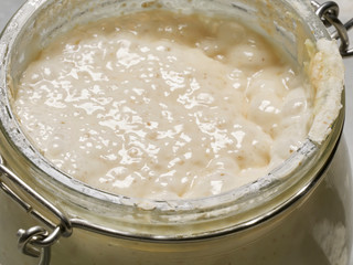 A fed active sourdough poolish bread starter