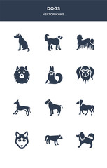 12 dogs vector icons such as havanese dog, hovawart dog, husky dog, irish setter irish terrier contains italian greyhound japanese chin jindo keeshond komondor labradoodle icons