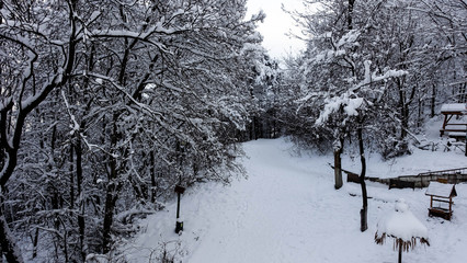 Winter in Romania