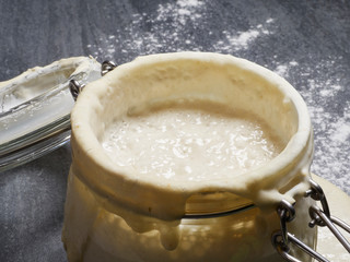 A fed active sourdough poolish bread starter