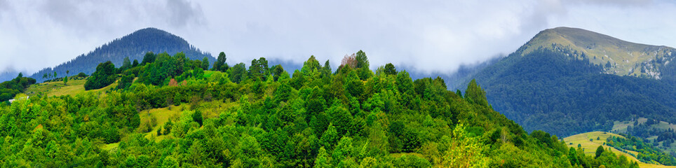 Beautiful picturesque summer landscape in the Carpathian mountains, Borzhava ridge, in the Transcarpathian region, Ukraine.
