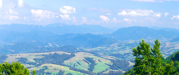 Beautiful picturesque summer landscape in the Carpathian mountains, Borzhava ridge, in the Transcarpathian region, Ukraine.