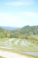 棚田　日本の伝統風景