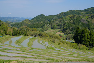 棚田　日本の伝統風景