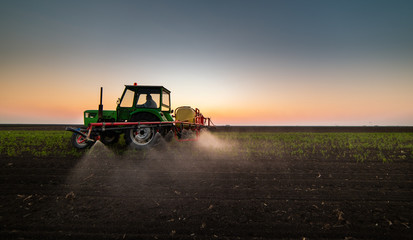 Fototapeta premium Tractor spraying pesticides at soy bean field