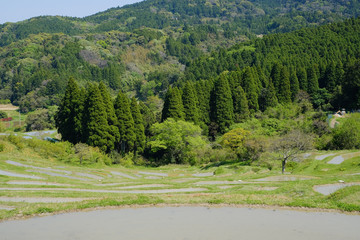棚田　日本の伝統風景