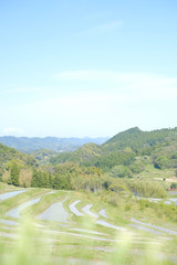 棚田　日本の伝統風景