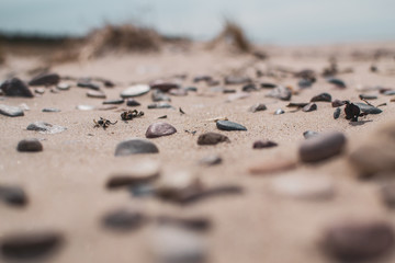 Landscape of Baltic seaside, Latvia, Jurkalne, toned photo