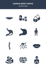 12 human body parts vector icons such as respiratory system, skin cells, small intestine, smiling mouth showing teeth, sperms contains spine bone, standing human body, stomach, stomach with liquids,