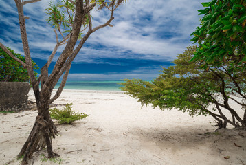 Zanzibar, landscape sea, palms beach
