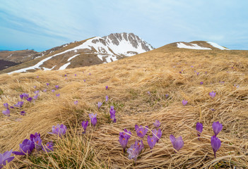 Rieti (Italy) - The summit of Monte Terminillo with snow. 2216 meters, Terminillo Mount is named...