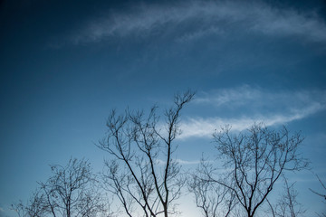 春の夕暮れの空