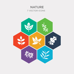 simple set of willow leaf, gooseberry leaf, nut leaf, magnolia icons, contains such as icons rowan larch sassafras and more. 64x64 pixel perfect. infographics vector