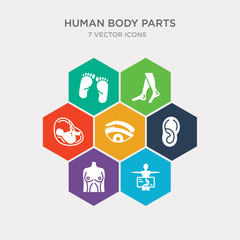 simple set of human body with x ray plate focusing on stomach, human breast, human ear, eyebrow icons, contains such as icons fetus, foot, footprints and more. 64x64 pixel perfect. infographics