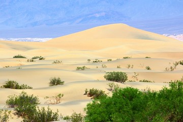 Death Valley sand dunes