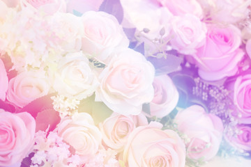 Blurred of Rose flowers blooming. in the pastel color style for background.