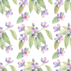 Flowers of apple Sakura drawing with colored pencils. Template for greeting card. Wedding card