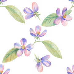 Flowers of apple Sakura drawing with colored pencils. Template for greeting card. Wedding card