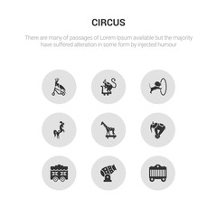 9 round vector icons such as circus cage, circus canon, circus car, elephant, giraffe contains horse, lion, monkey, parrot. cage, canon, icon3_, gray icons