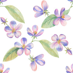 Flowers of apple Sakura drawing with colored pencils. Template for greeting card. Wedding card
