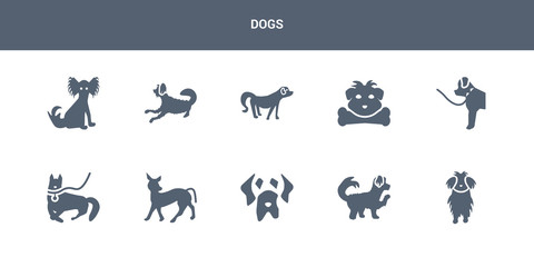 10 dogs vector icons such as maltese dog, maltipoo dog, mastiff dog, mexican hairless mudi contains newfoundland norfolk terrier nova scotia duck tolling retriever otterhound papillon dogs icons