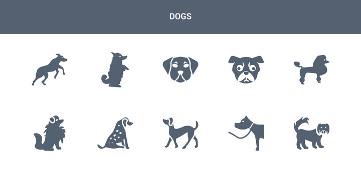 10 Dogs Vector Icons Such As Pekingese Dog, Pitbull Dog, Plott Hound Dog, Pointer Pomeranian Contains Poodle Pug Puggle Pumi Rhodesian Ridgeback Dogs Icons