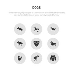 9 round vector icons such as bloodhound dog, boerboel dog, border collie dog, borzoi boston terrier contains boxer bracco italiano brittany bull terrier bloodhound boerboel icon3_, gray dogs icons