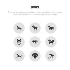 9 round vector icons such as great dane dog, great pyrenees dog, greyhound dog, havanese hovawart contains husky irish setter irish terrier italian greyhound great dane pyrenees icon3_, gray dogs