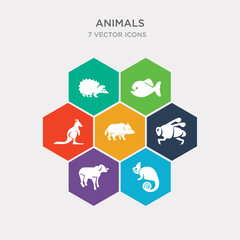 simple set of chameleon, female sheep, fly, boar icons, contains such as icons kangaroo, piranha, hedgehog and more. 64x64 pixel perfect. infographics vector
