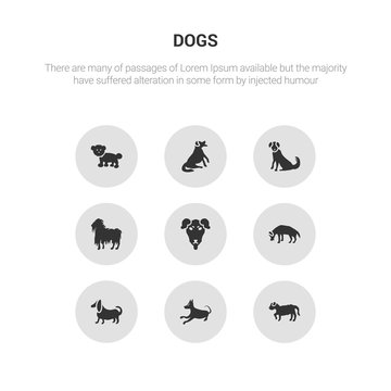 9 round vector icons such as barbet dog, basenji dog, basset hound dog, beagle beauceron contains bergamasco berger picard bernese mountain bichon frise barbet basenji icon3_, gray dogs icons
