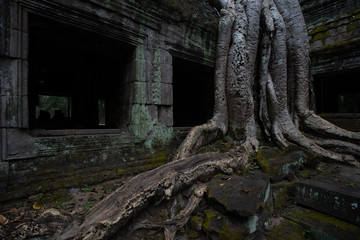Prasat Preah Khan temple, in Siem reap, Cambodia