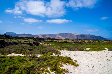 Fototapeta na wymiar Spain, Lanzarote, Green vegetation and white sand at a beach of orzola with view to famara mountains