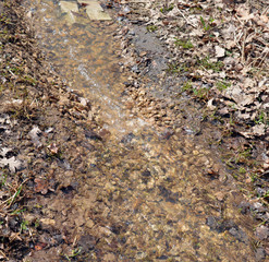 the road with flowing water stream on the rocks in the forest in the spring