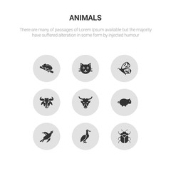 9 round vector icons such as beetle, albatross, bird, boar, buffalo contains bull, butterfly, cat, chameleon. beetle, albatross, icon3_, gray animals icons