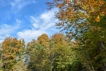 View over the surroundings hills and mountains during autumn, Macedonia